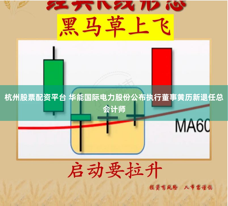 杭州股票配资平台 华能国际电力股份公布执行董事黄历新退任总会计师