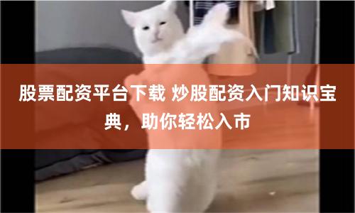 股票配资平台下载 炒股配资入门知识宝典，助你轻松入市